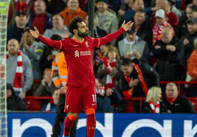 久久久久精品免费视频